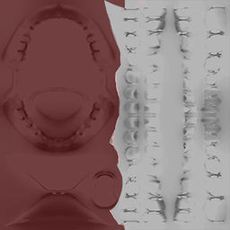 ladies biker jacket Low-poly 3D model_11