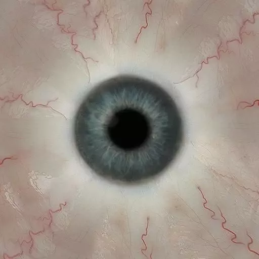 ladies biker jacket Low-poly 3D model_30