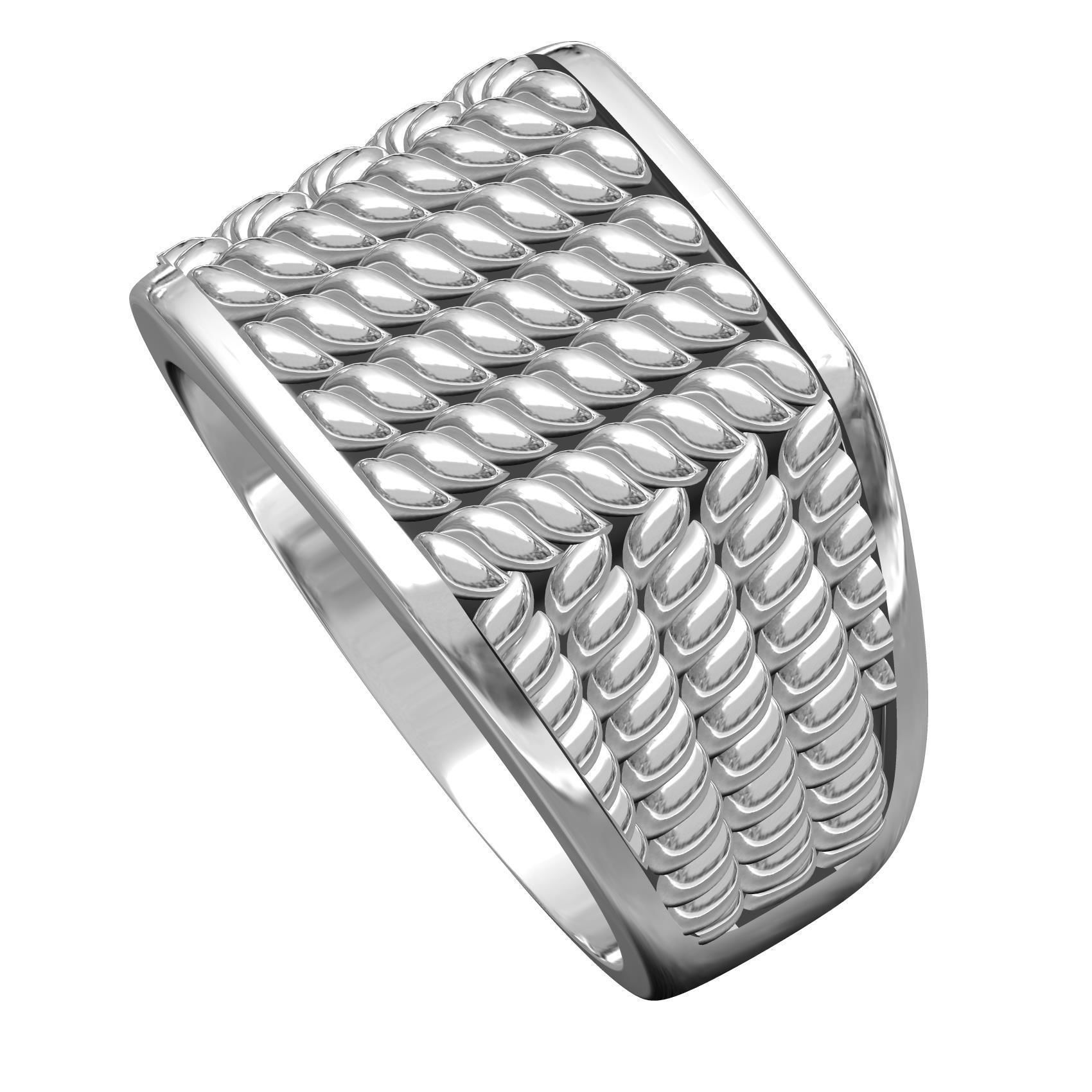 Twisted Wire Spinner Ring for Men 3D print model_1