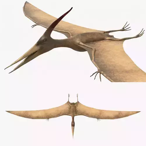 4K Realistic Pteranodon