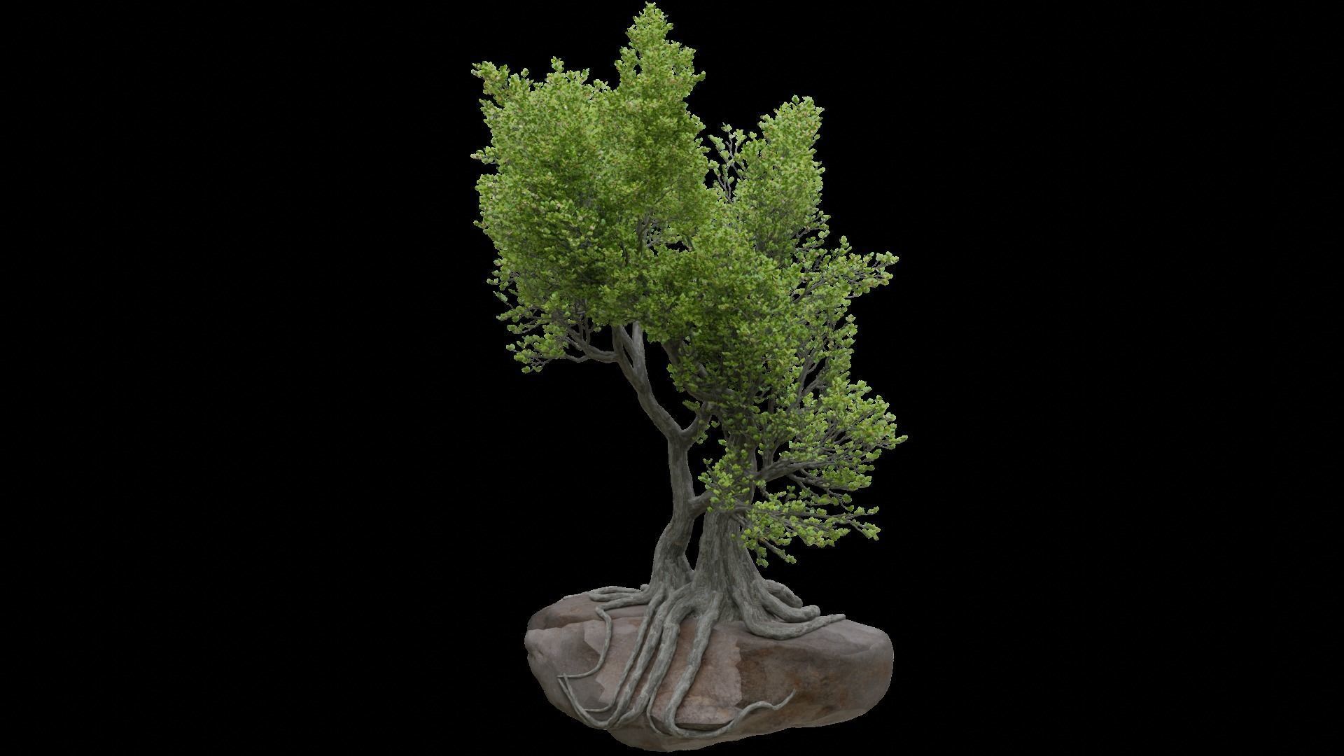 Stylized tree model 3D model_1