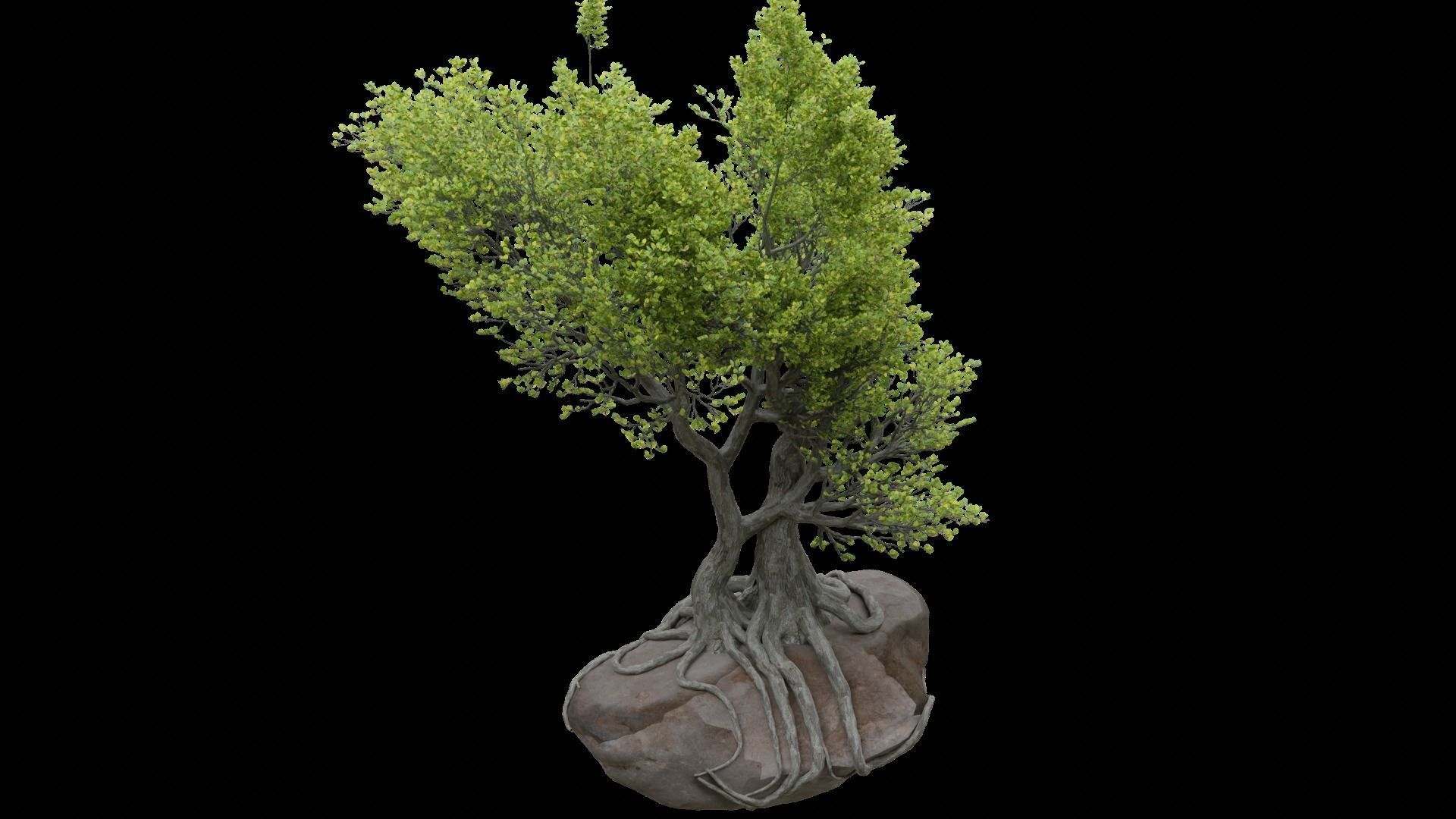 Stylized tree model 3D model_8