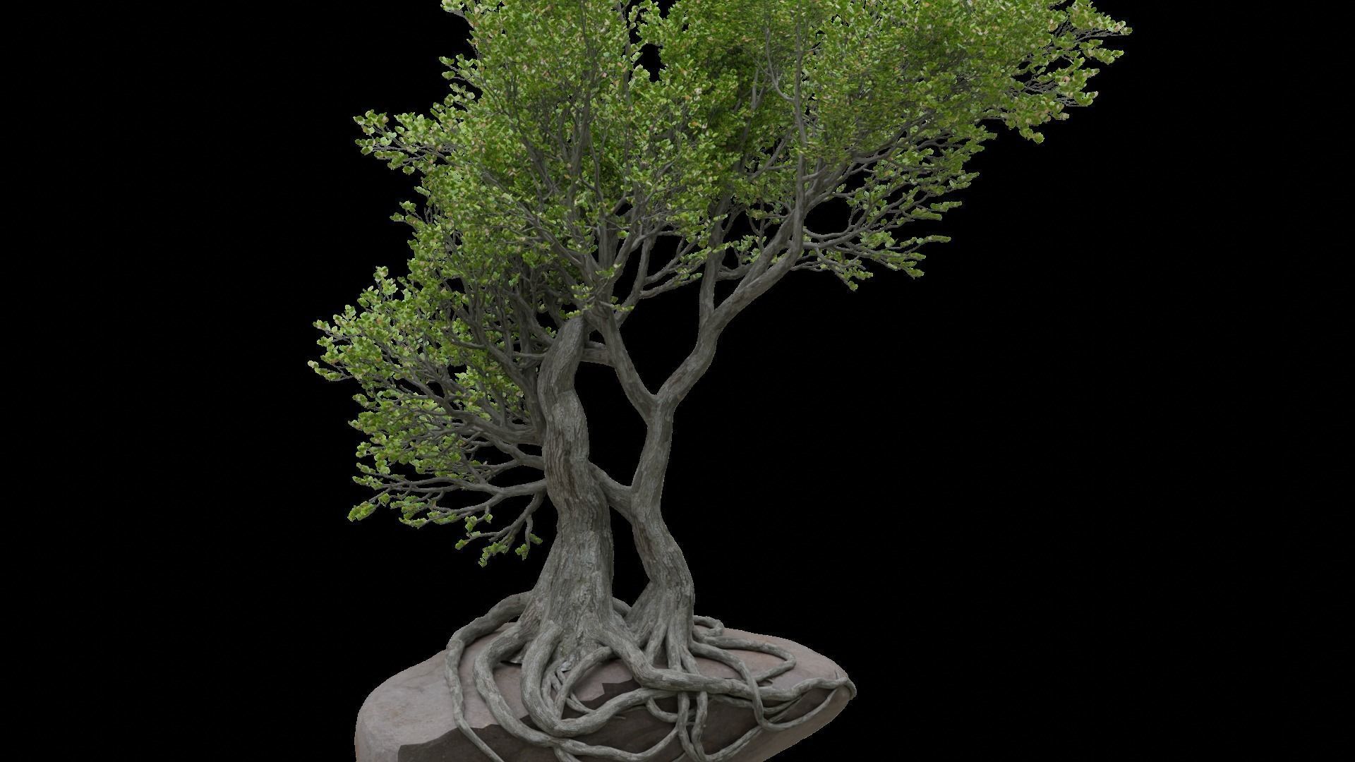 Stylized tree model 3D model_5