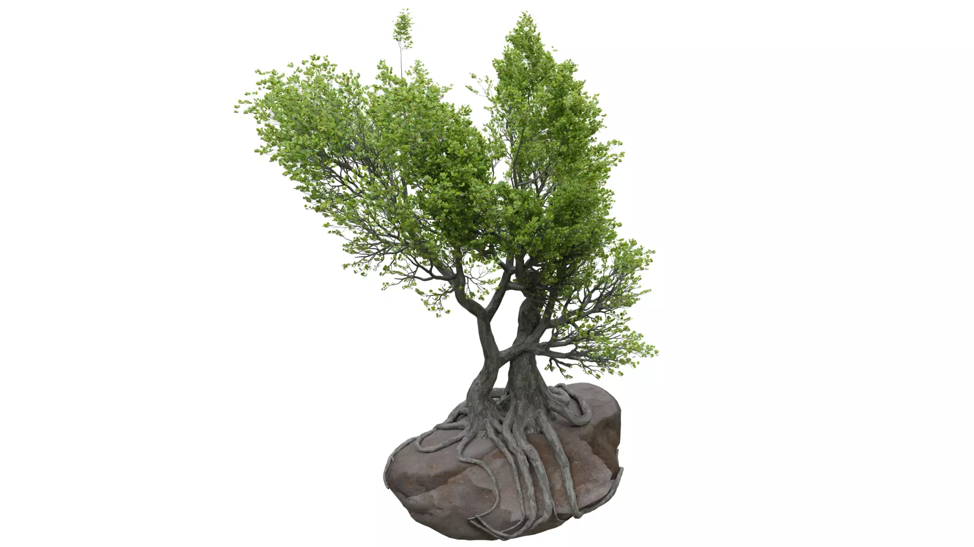 Stylized tree model 3D model_0