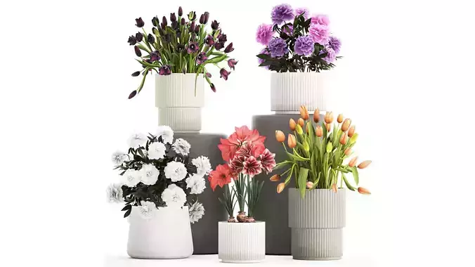 Set of beautiful plants and flowers in flowerpots 1308 3D model