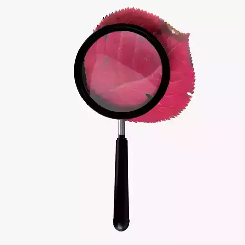 Magnifying Glass