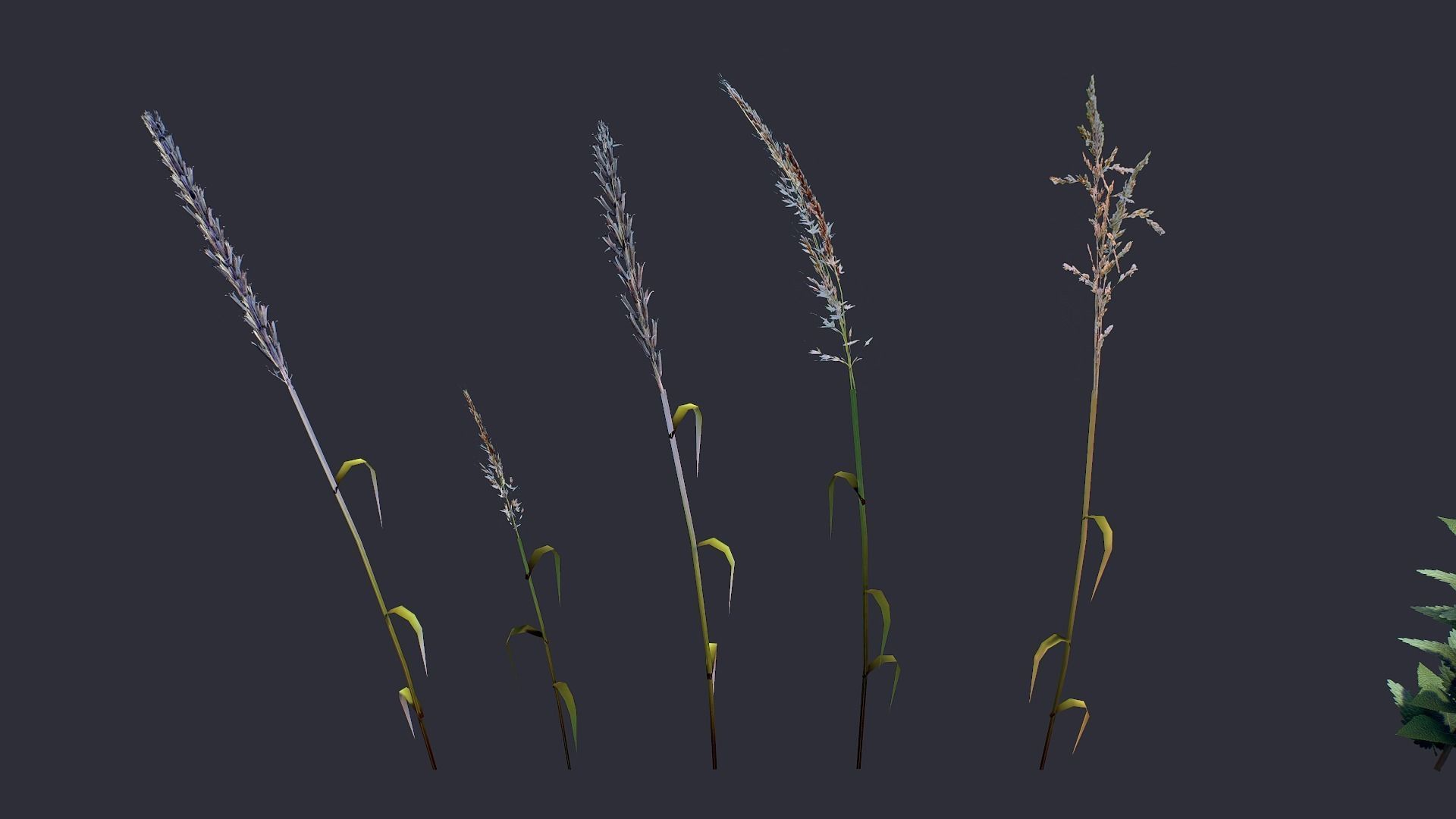 Grass and Flower Low-poly 3D model_11