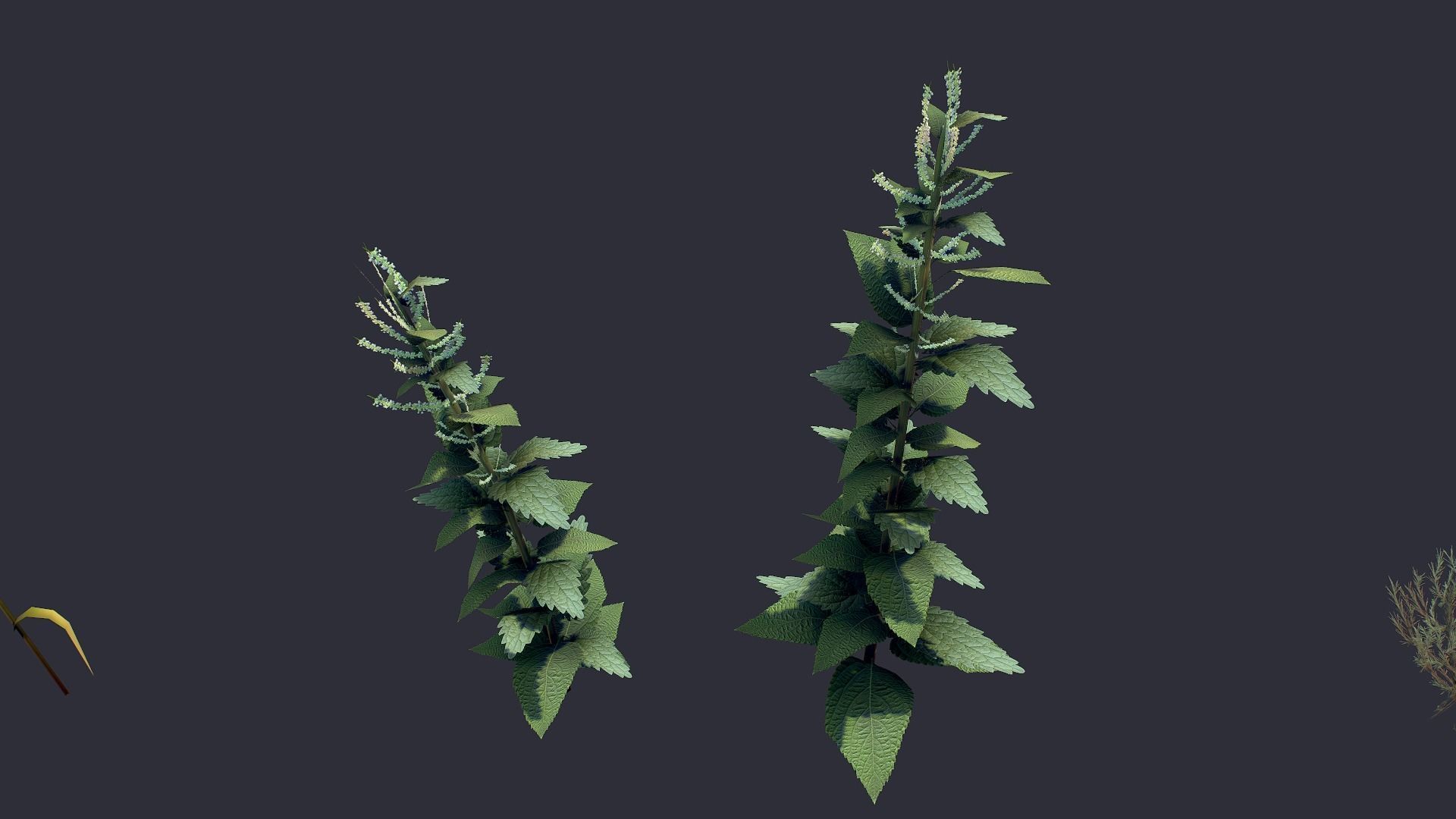 Grass and Flower Low-poly 3D model_10