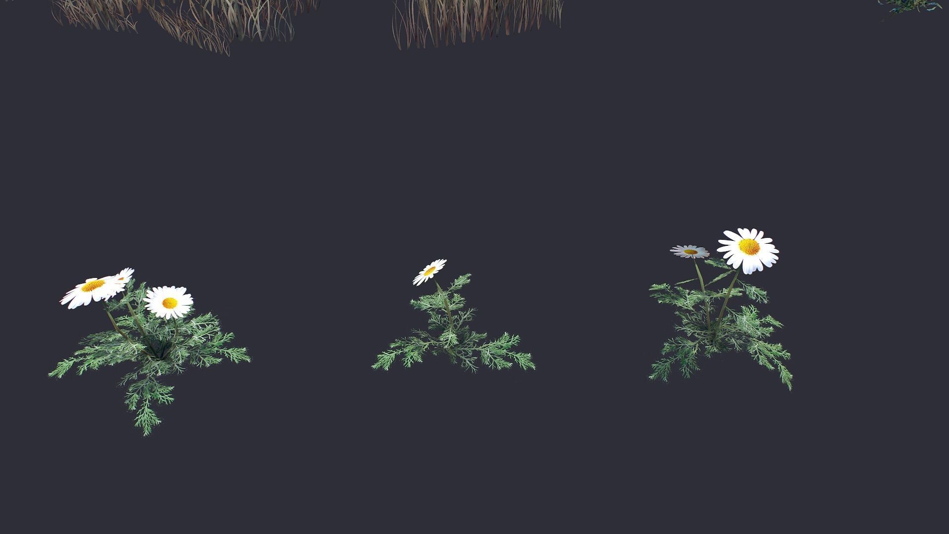 Grass and Flower Low-poly 3D model_3