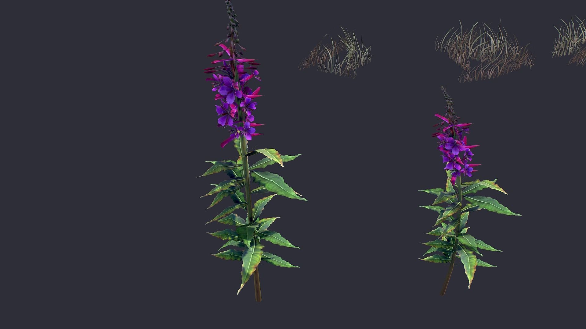 Grass and Flower Low-poly 3D model_5