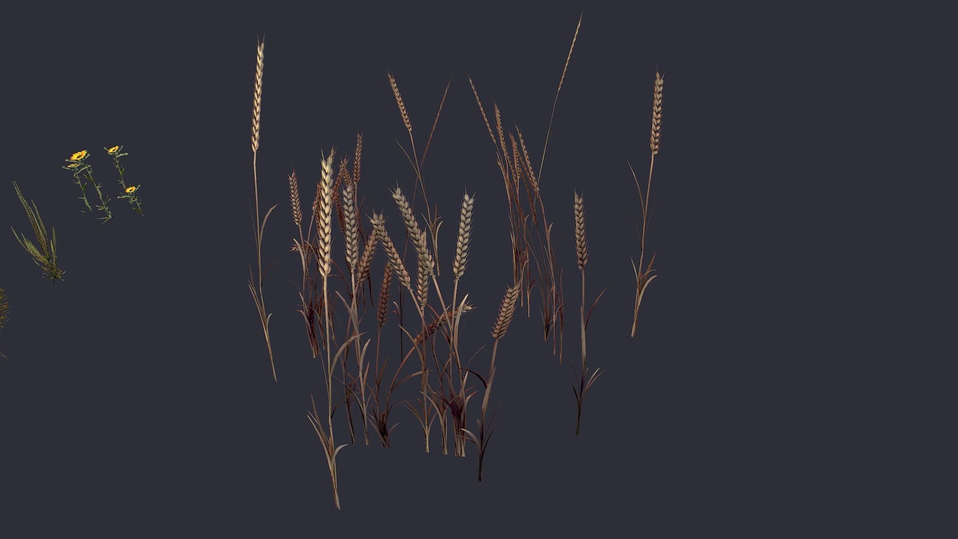 Grass and Flower Low-poly 3D model_12