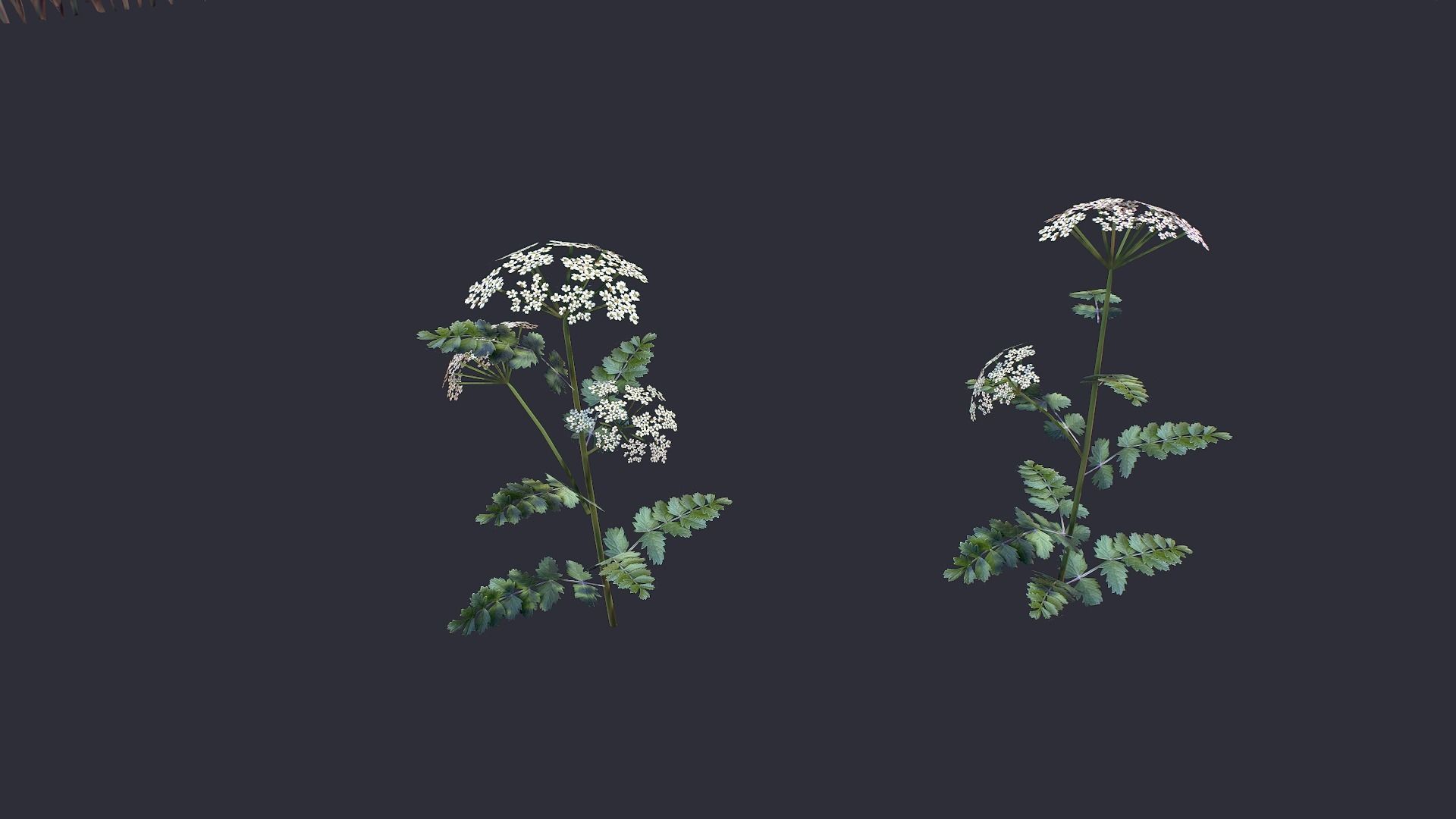 Grass and Flower Low-poly 3D model_2