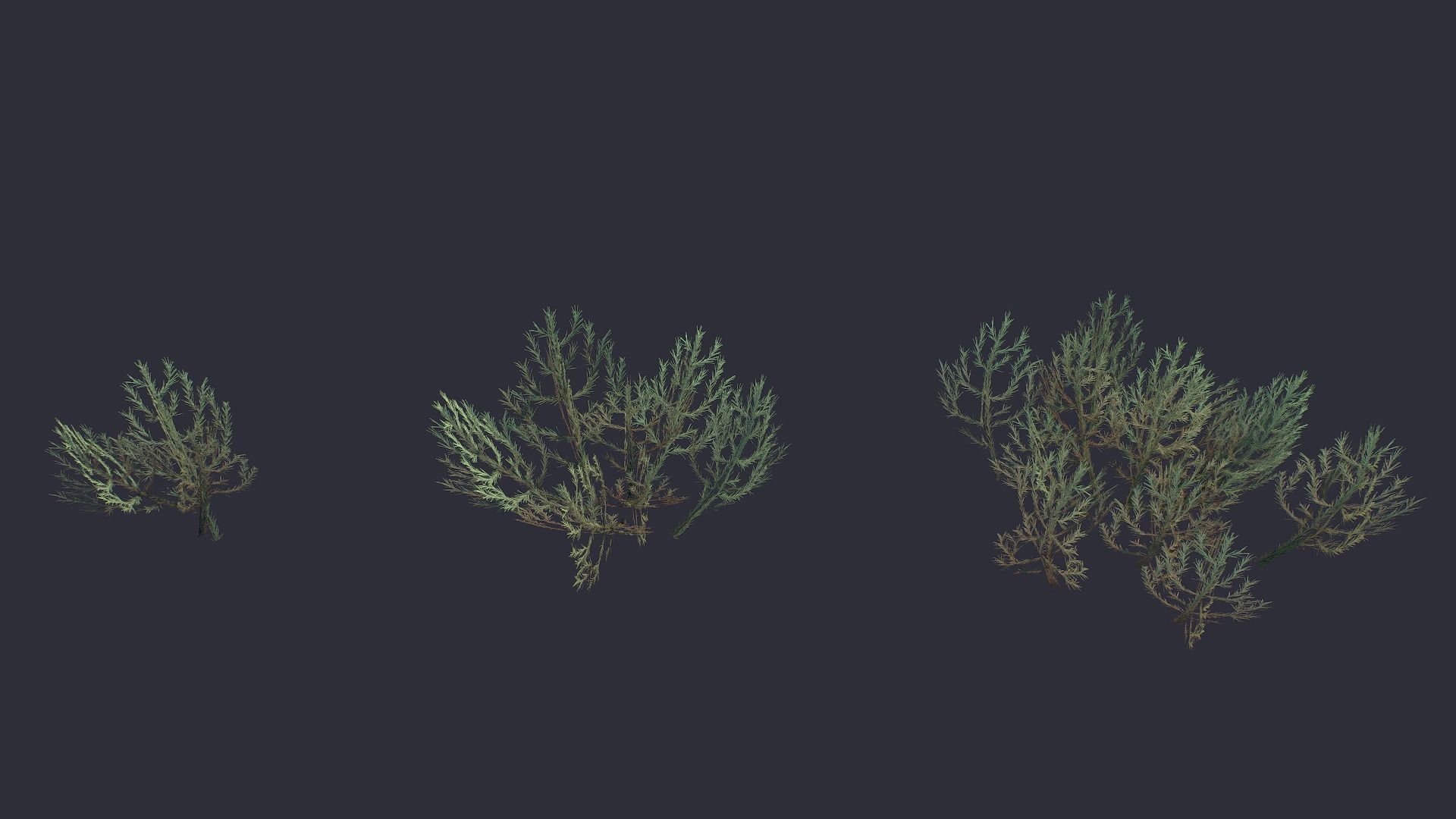 Grass and Flower Low-poly 3D model_9