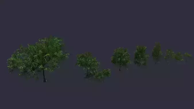 Trees
