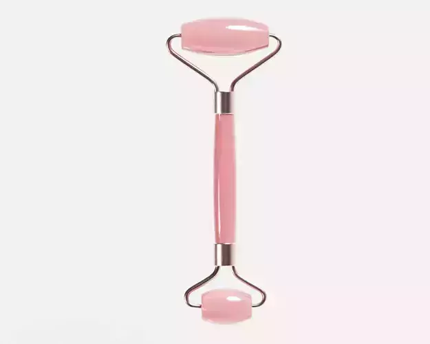 Face Roller 3d model