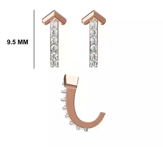 Women Diamond Earrings STL FBX JCD Details 3D print model