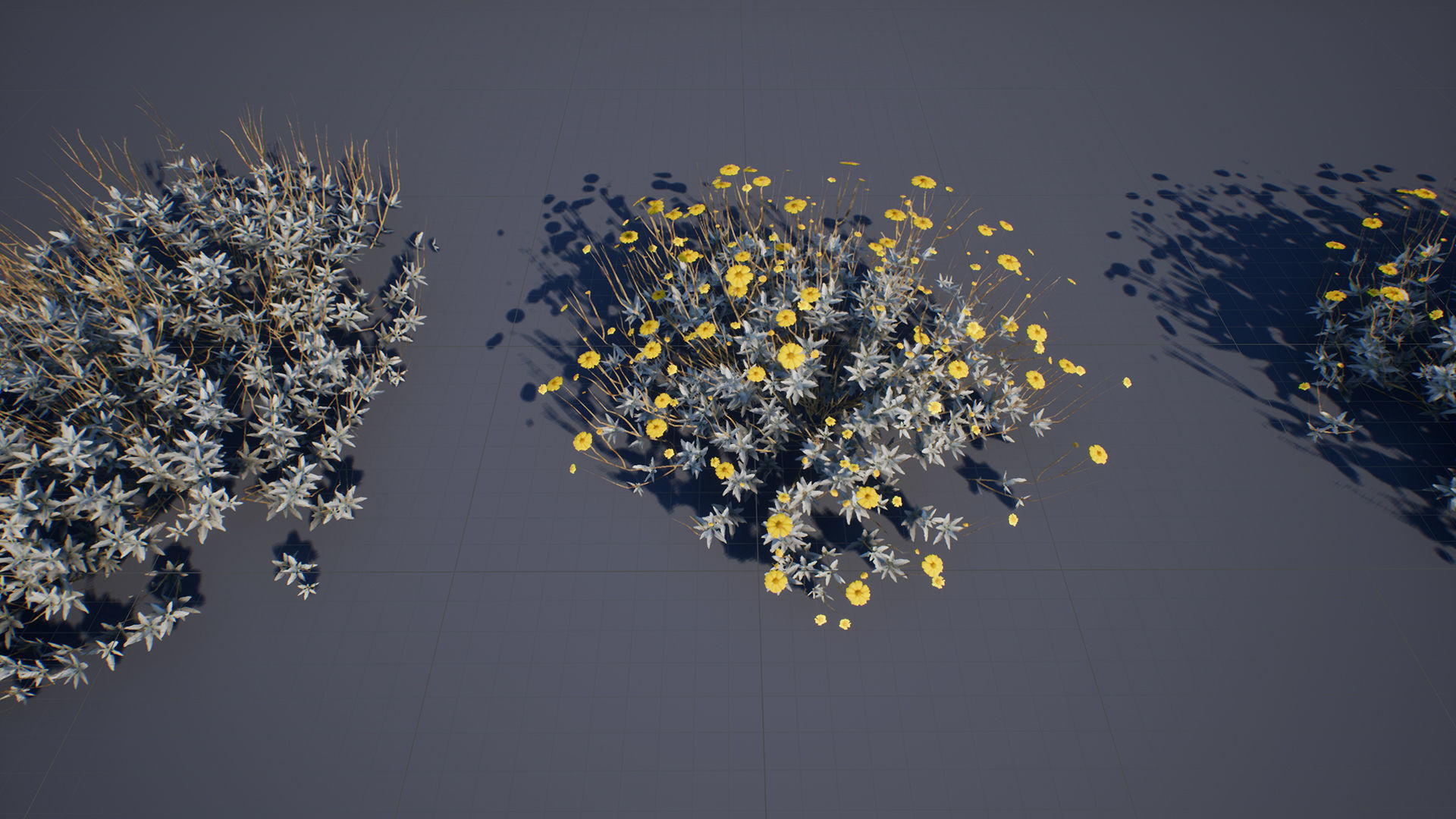 Brittle Bush Low-poly 3D model_3