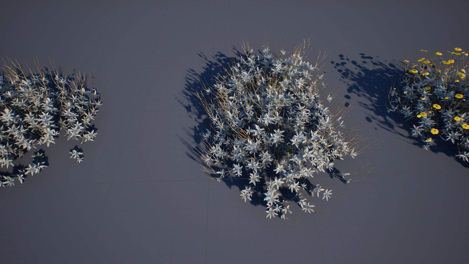 Brittle Bush Low-poly 3D model_2