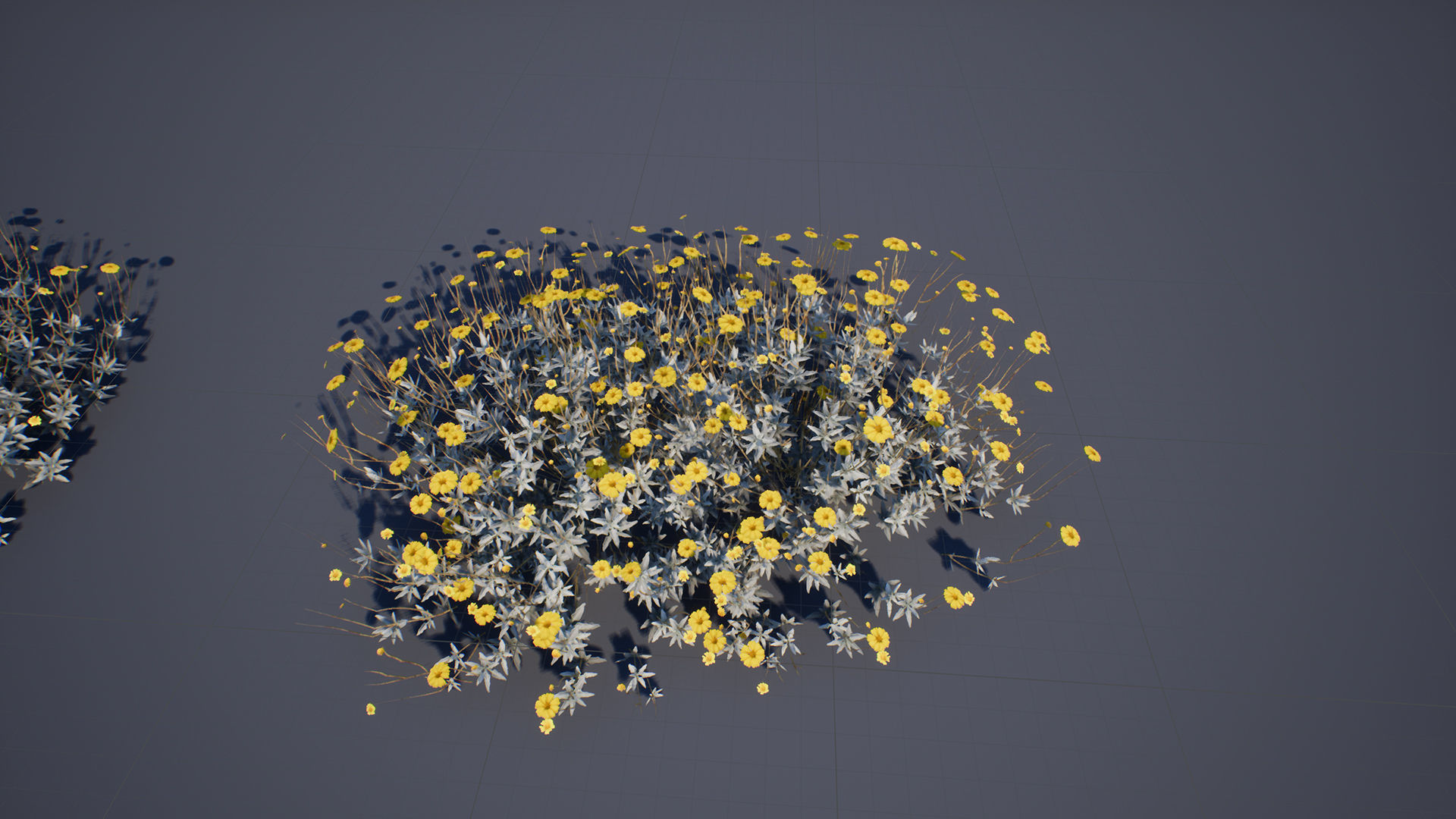 Brittle Bush Low-poly 3D model_4