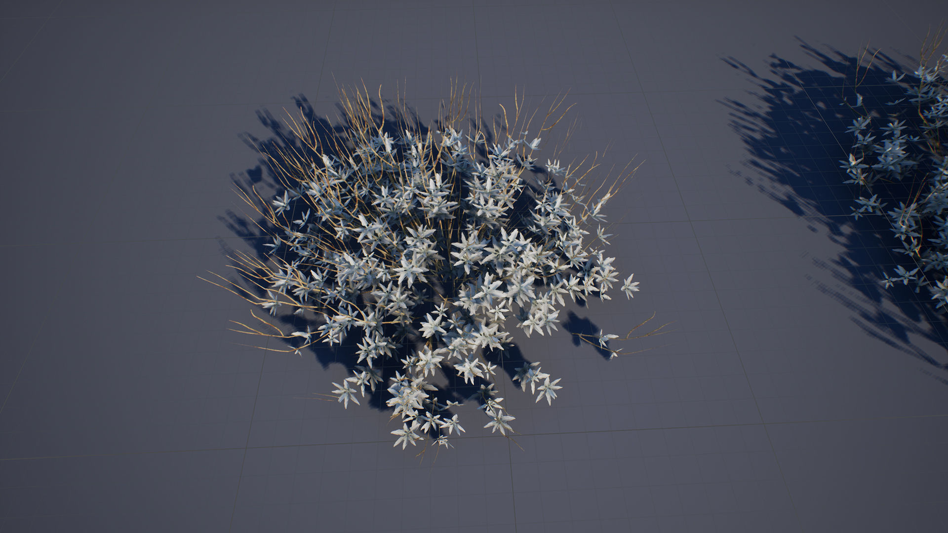 Brittle Bush Low-poly 3D model_1