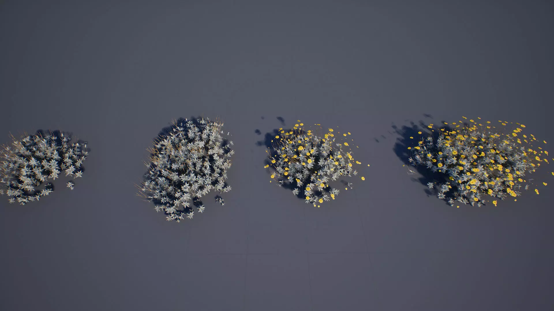 Brittle Bush Low-poly 3D model_0