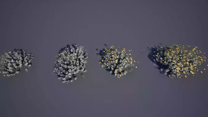 Brittle Bush Low-poly 3D model