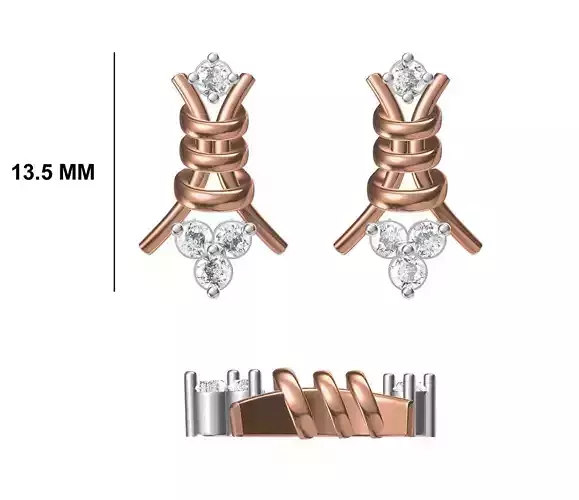 Women Diamond Earrings STL FBX JCD Details 3D print model