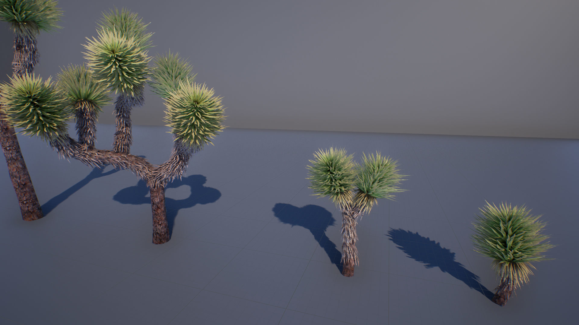 Joshua Tree Low-poly 3D model_3