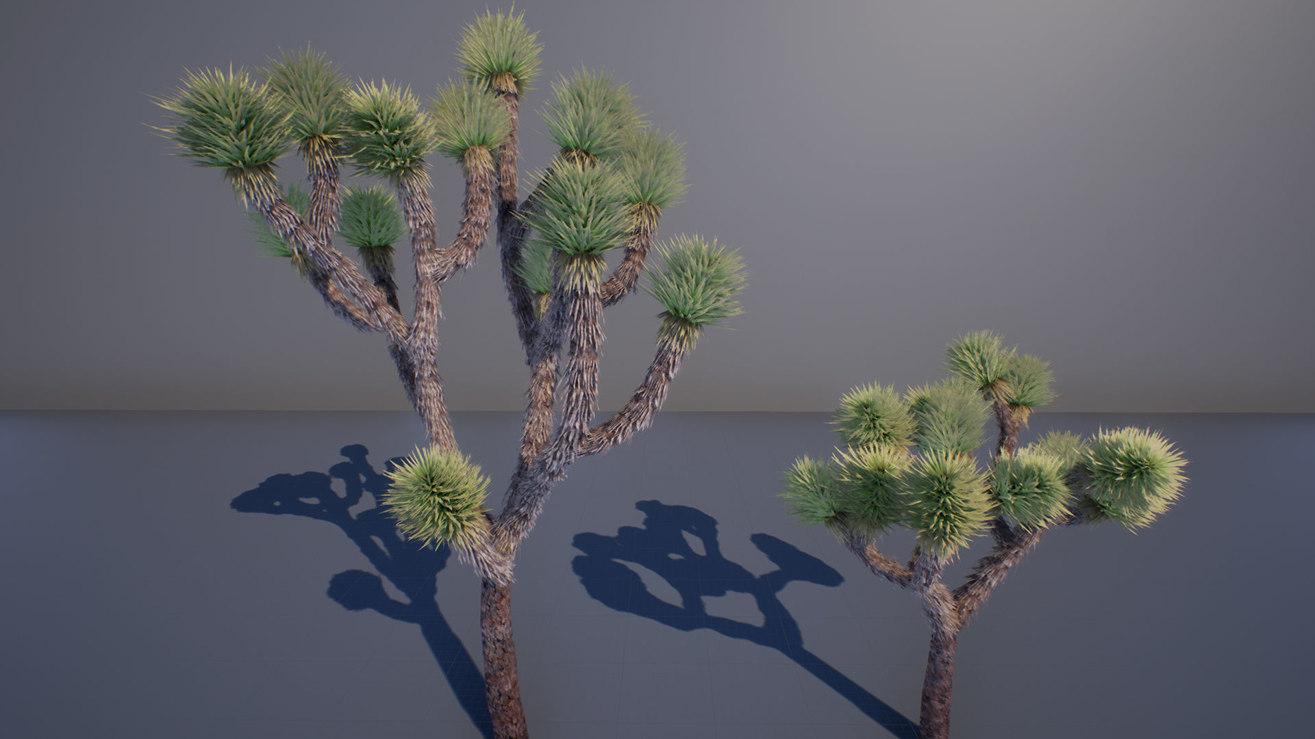 Joshua Tree Low-poly 3D model_1