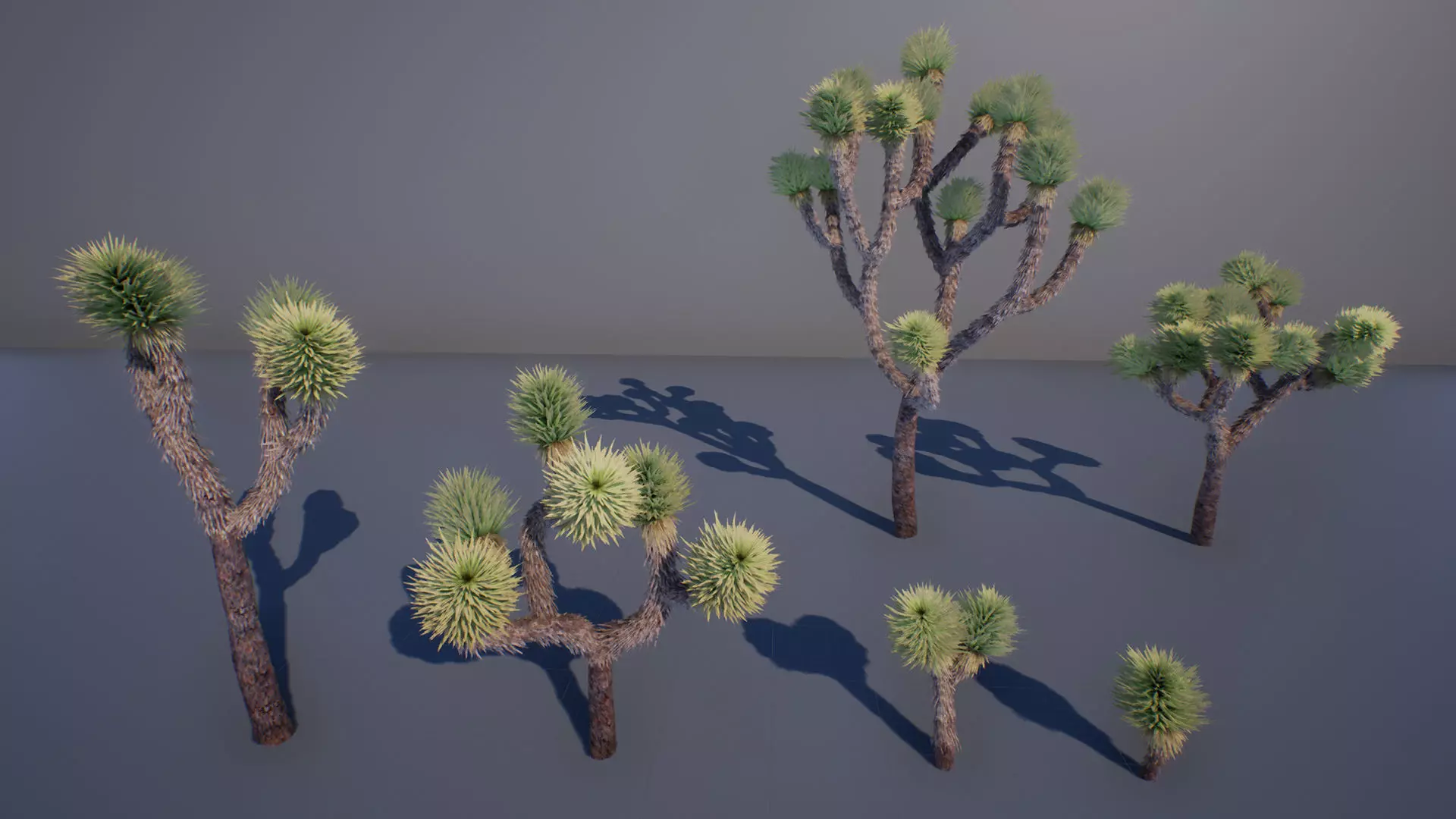 Joshua Tree Low-poly 3D model_0