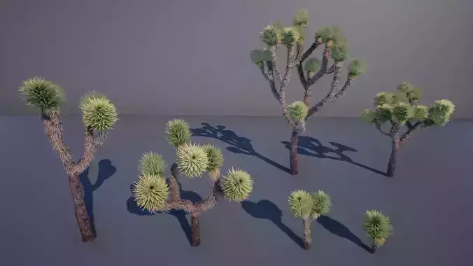 Joshua Tree Low-poly 3D model
