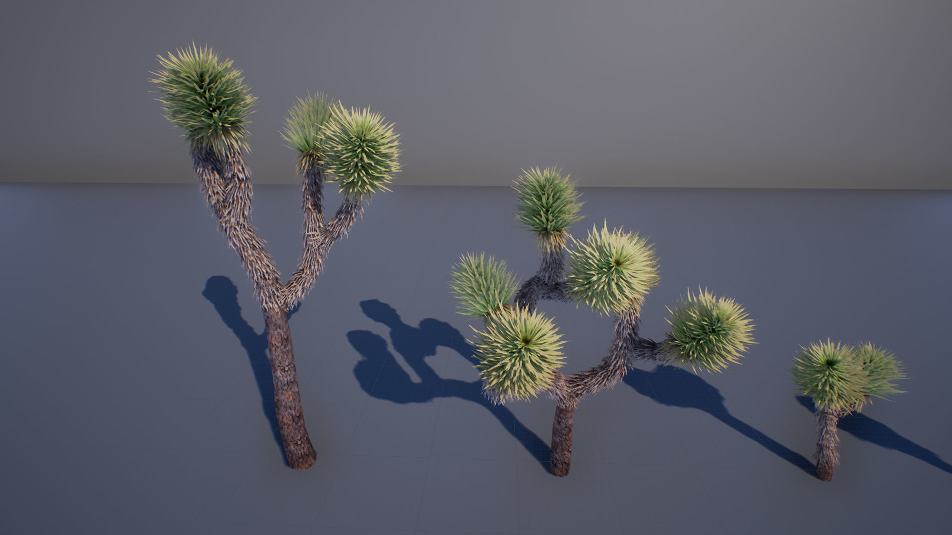 Joshua Tree Low-poly 3D model_2
