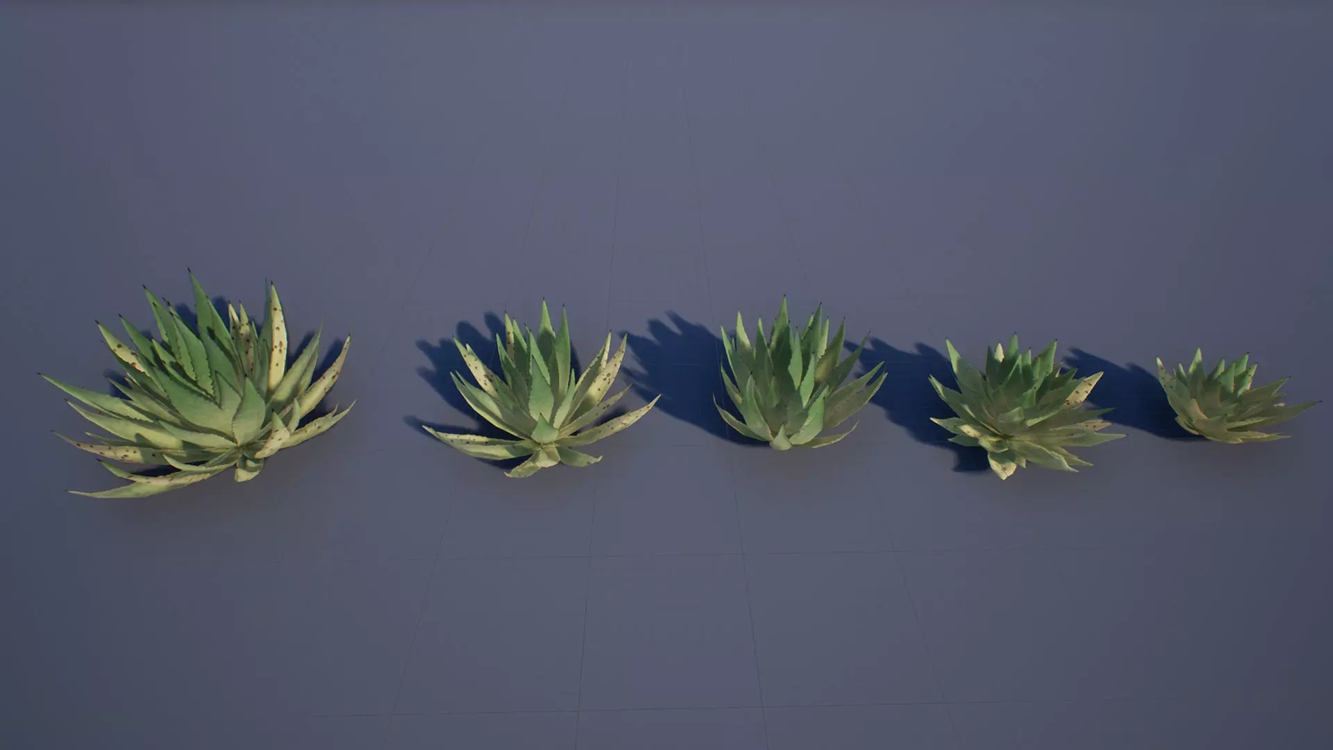 Agave Low-poly 3D model