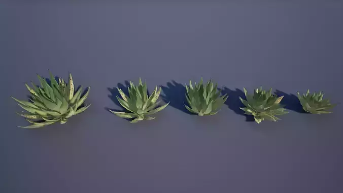 Agave Low-poly 3D model