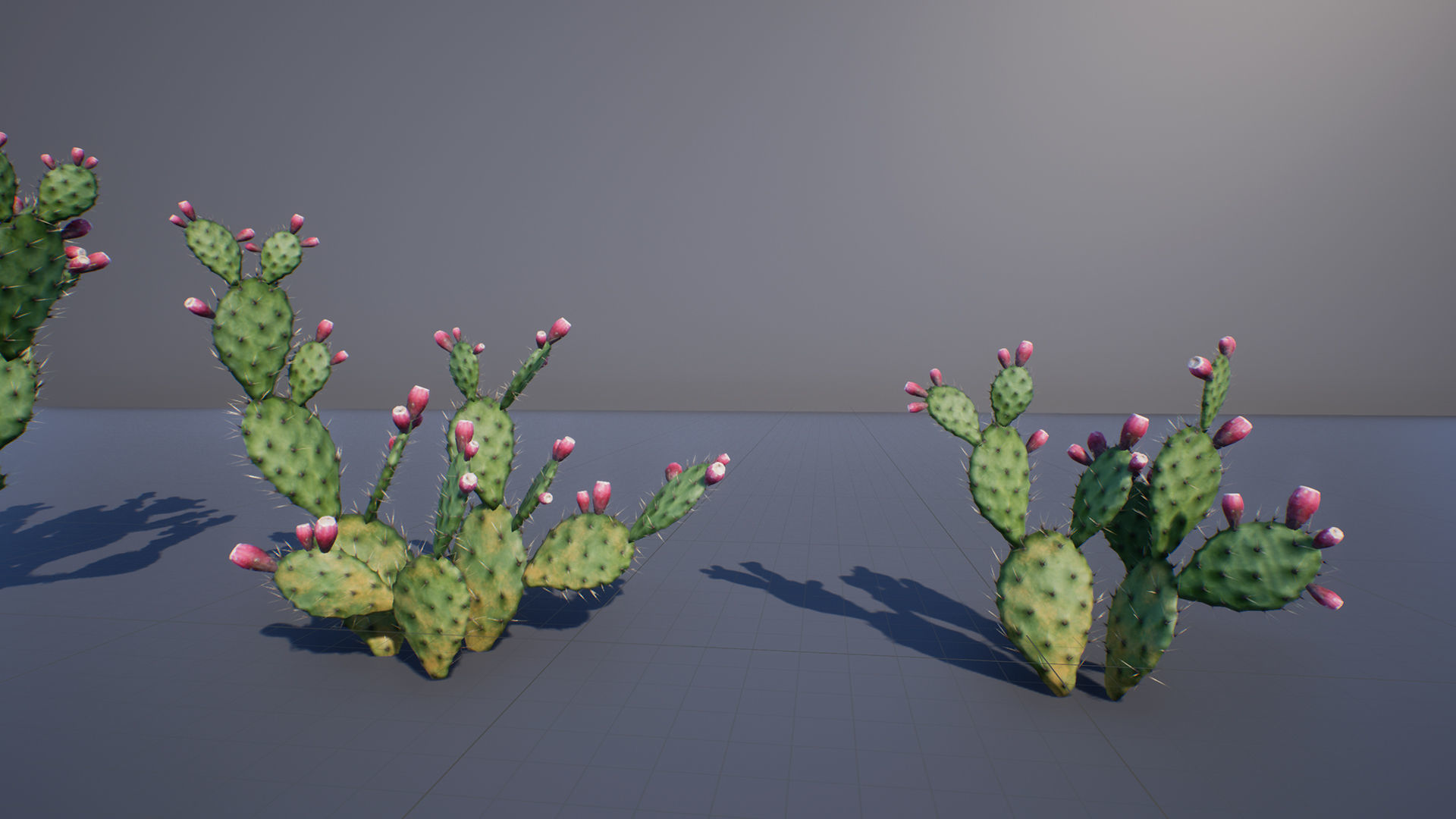 Opuntia Cactus Low-poly 3D model_4