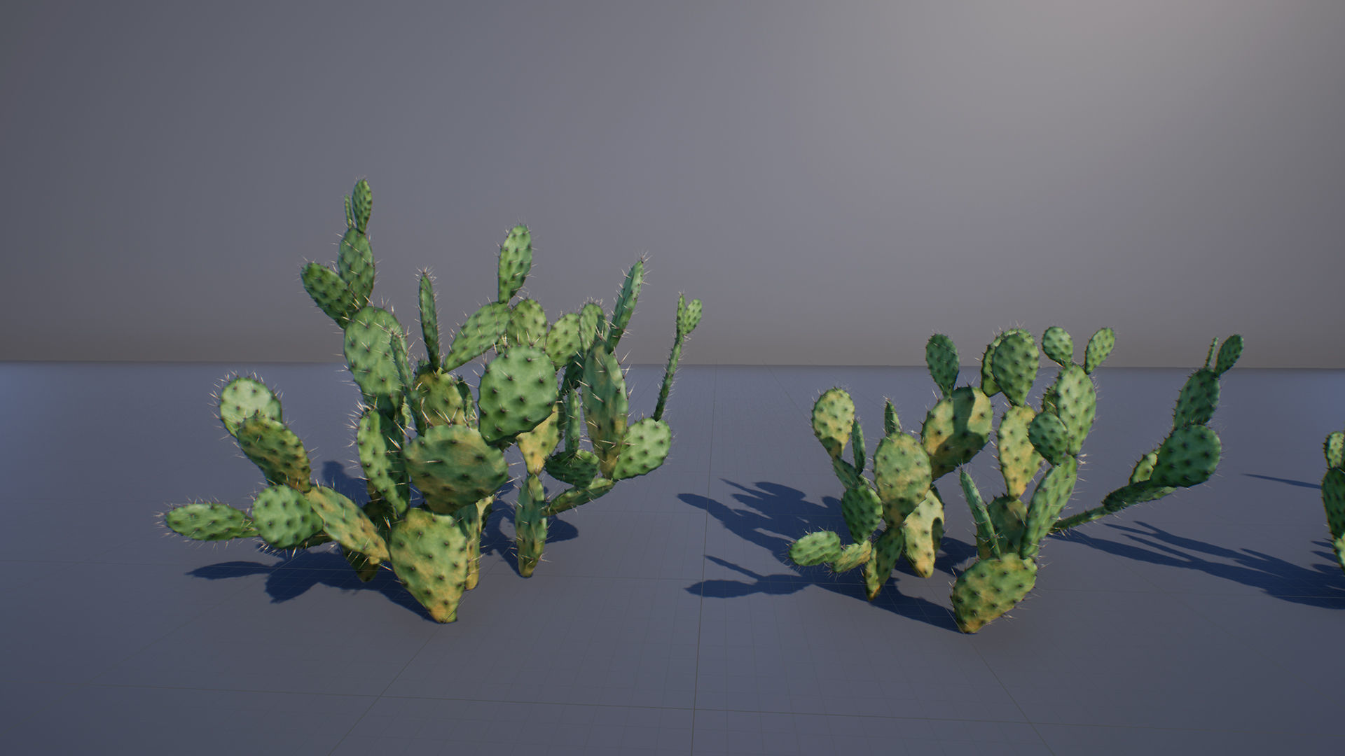 Opuntia Cactus Low-poly 3D model_1
