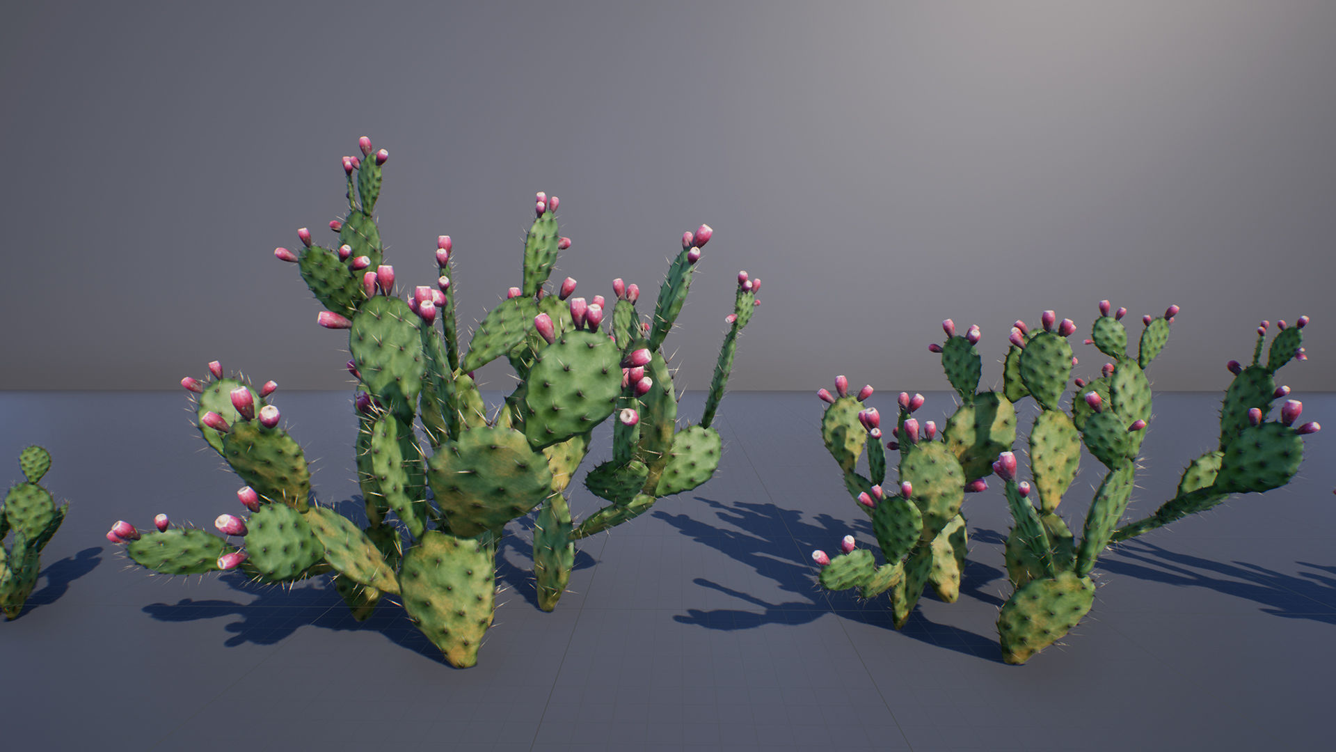 Opuntia Cactus Low-poly 3D model_3