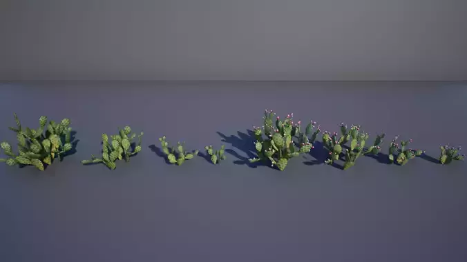 Opuntia Cactus Low-poly 3D model