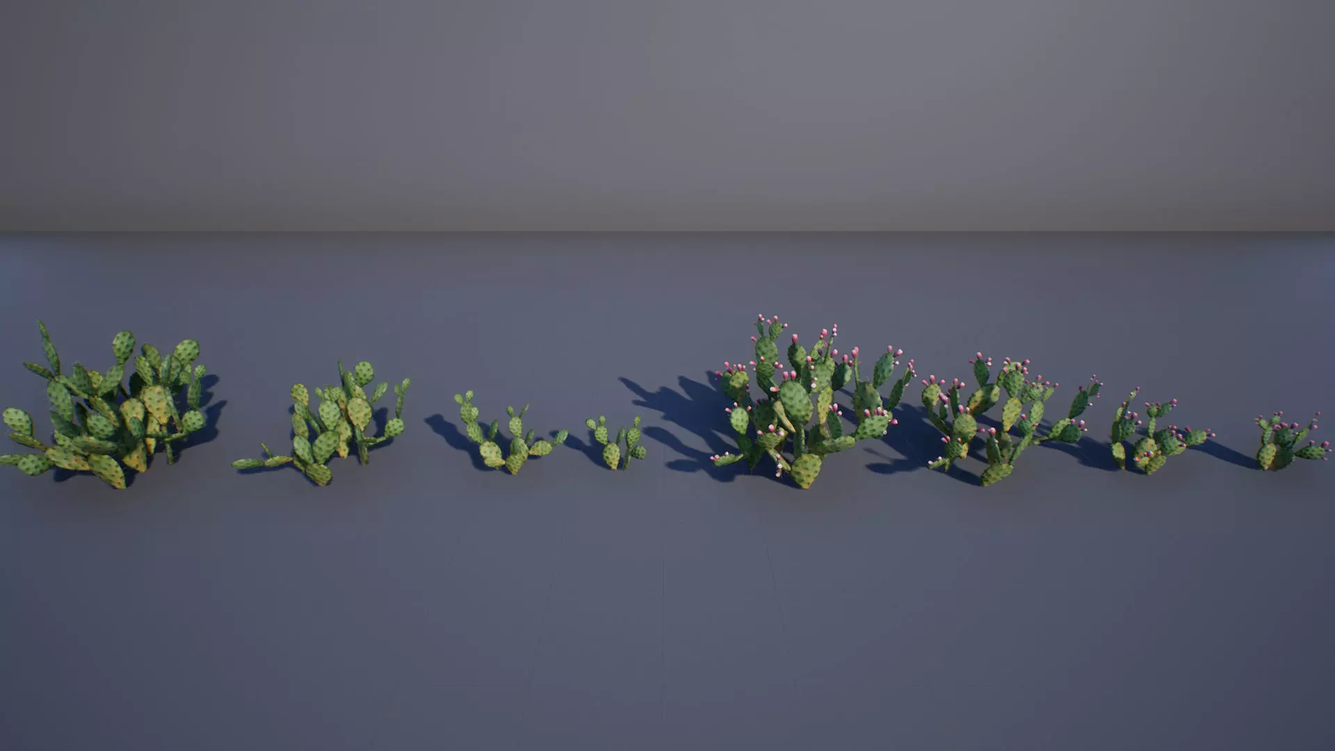 Opuntia Cactus Low-poly 3D model_0