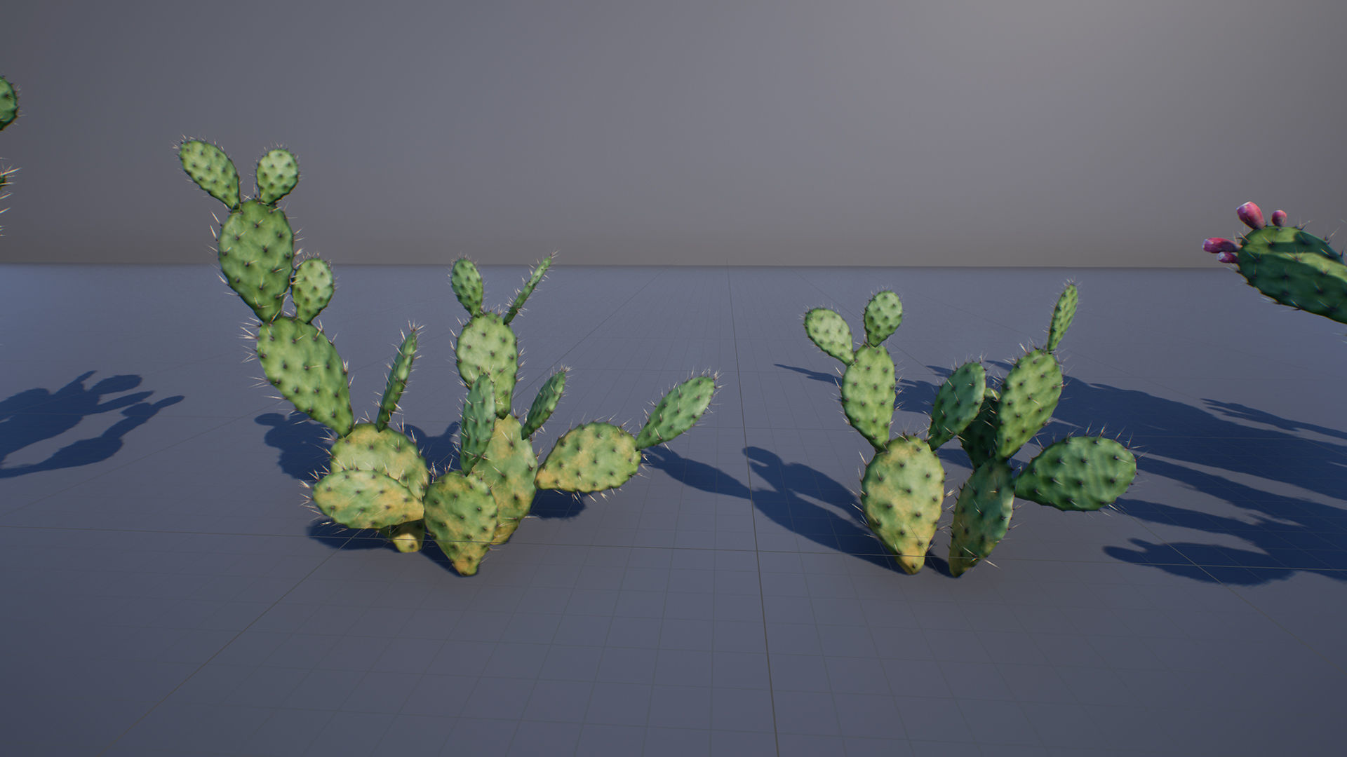 Opuntia Cactus Low-poly 3D model_2