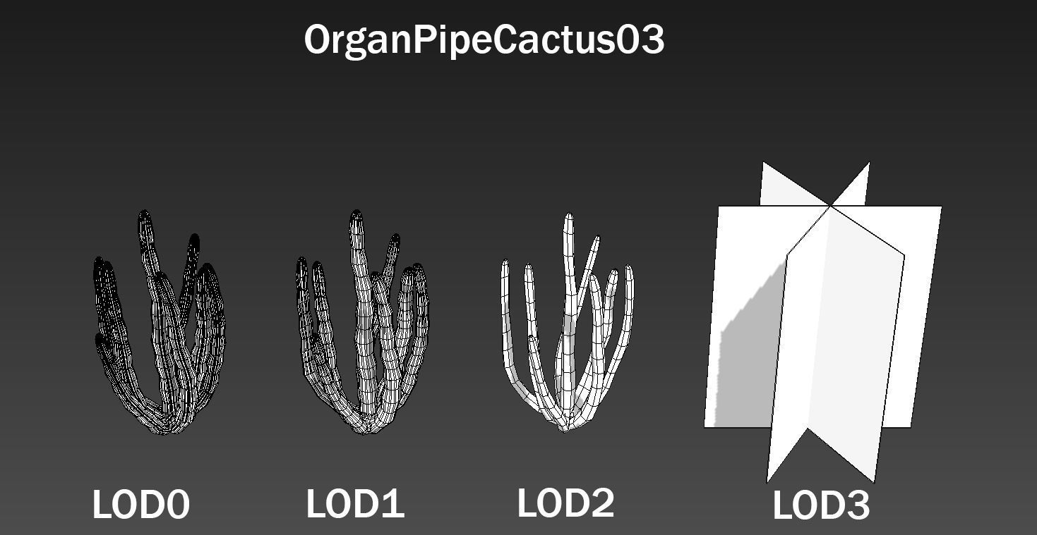 Organ Pipe Cactus Low-poly 3D model_5