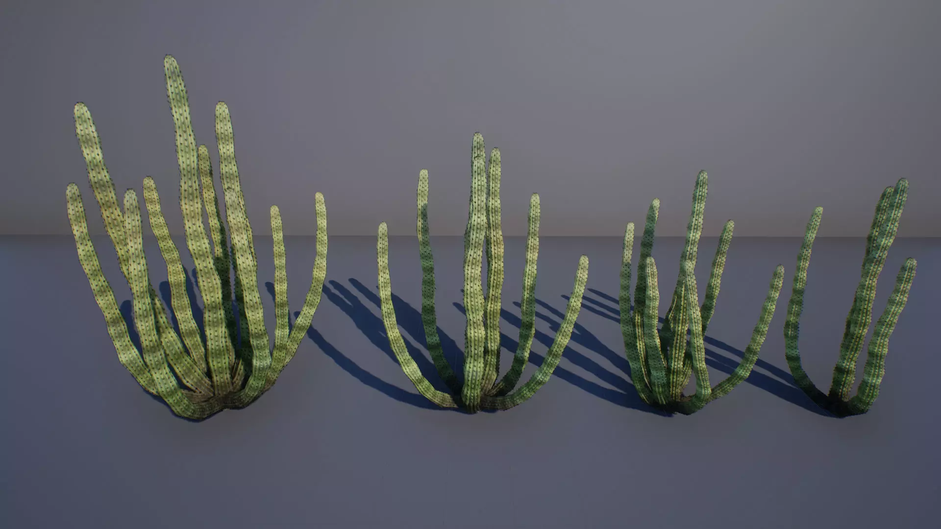 Organ Pipe Cactus Low-poly 3D model_0
