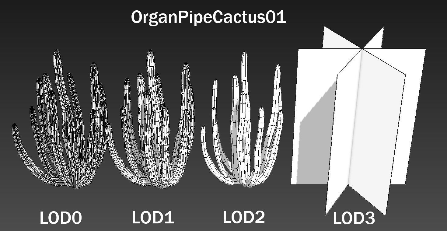 Organ Pipe Cactus Low-poly 3D model_3