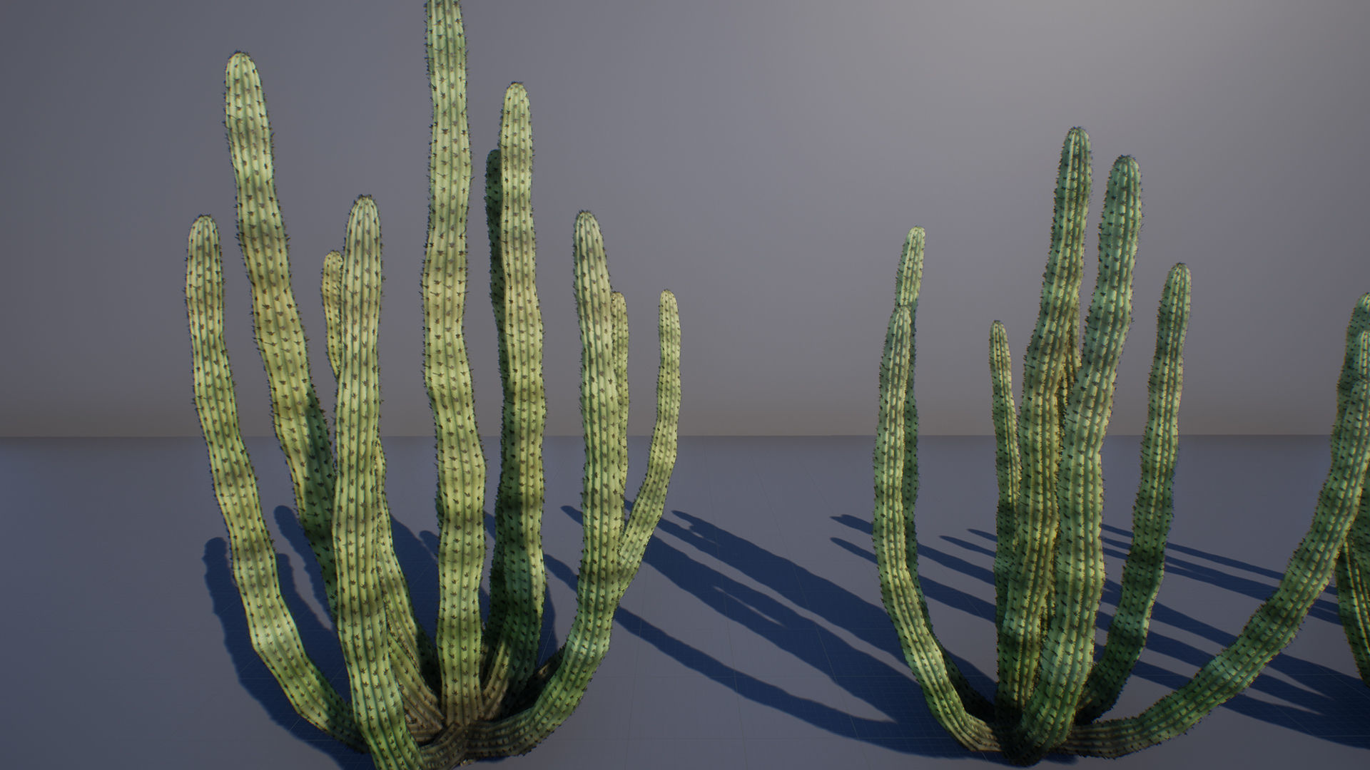 Organ Pipe Cactus Low-poly 3D model_1