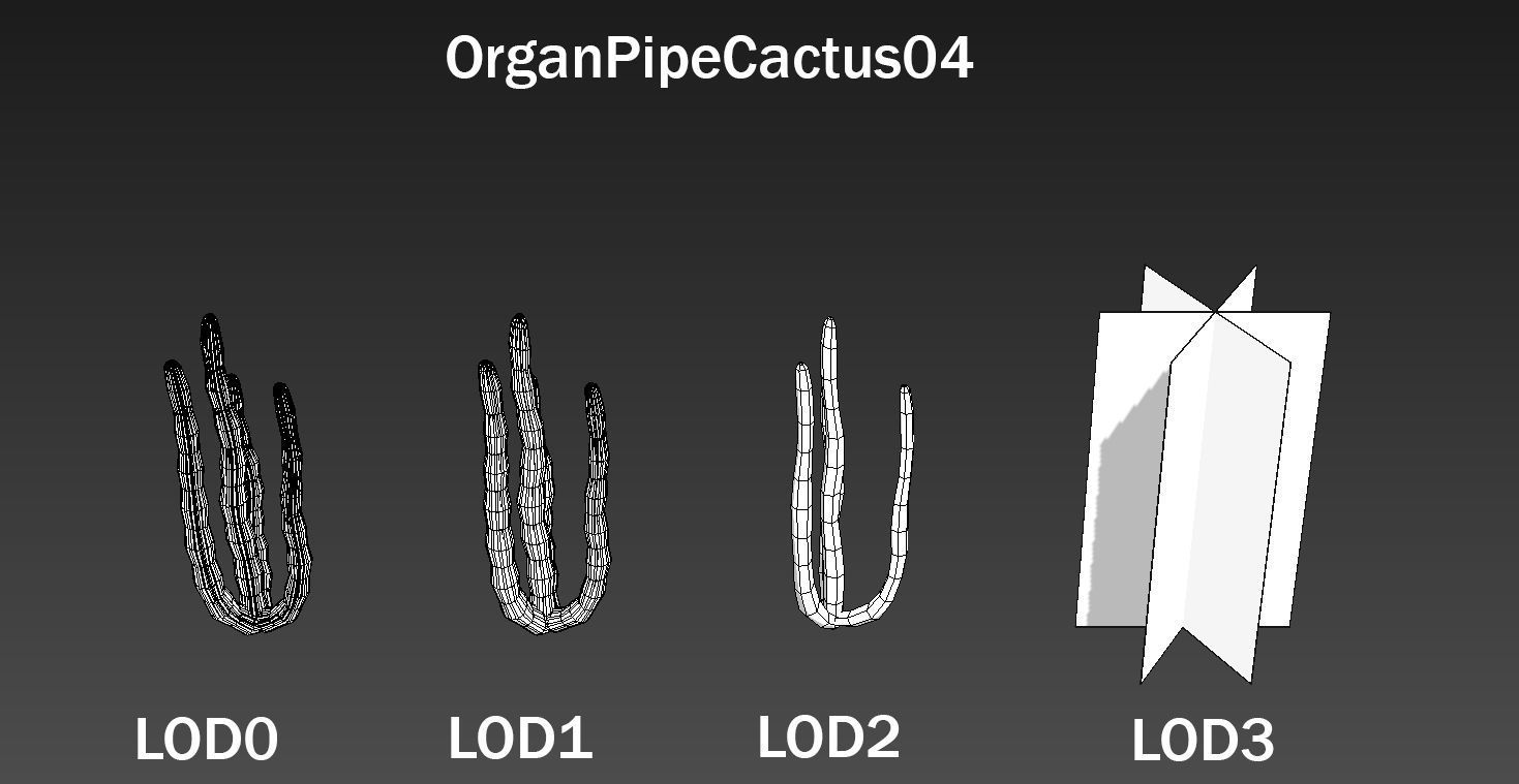 Organ Pipe Cactus Low-poly 3D model_6