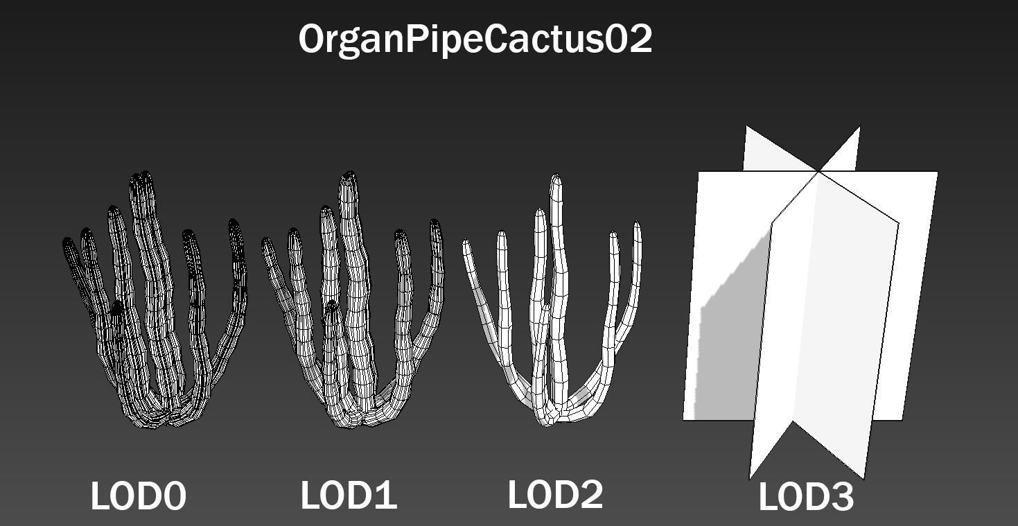 Organ Pipe Cactus Low-poly 3D model_4