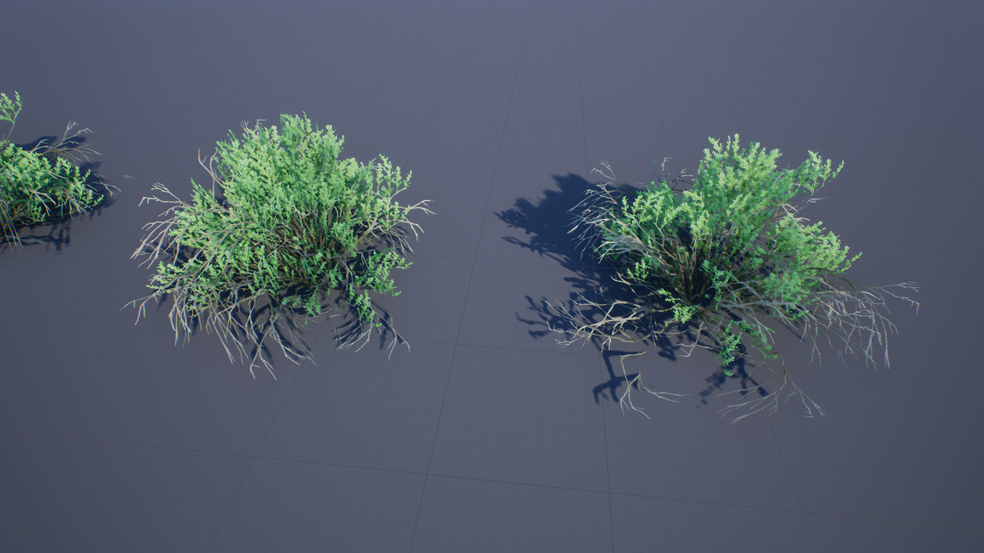 Sarcobatus Bush Low-poly 3D model_2