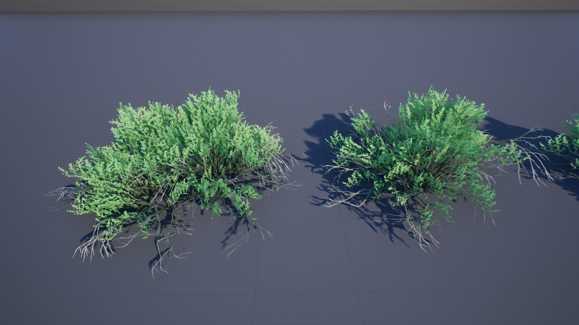 Sarcobatus Bush Low-poly 3D model_1