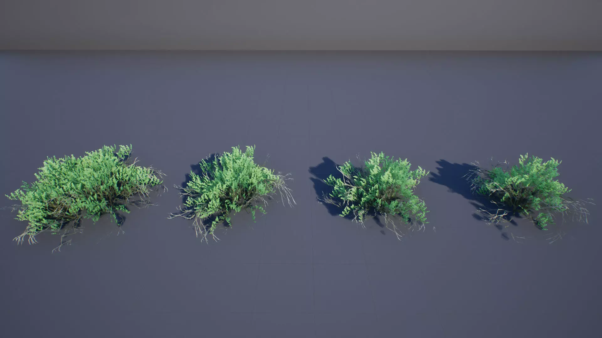 Sarcobatus Bush Low-poly 3D model_0