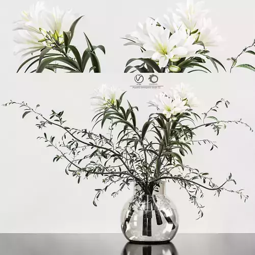 plants bouquet vase 12